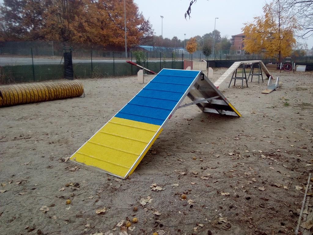 PALIZZATA AGILITY DOG