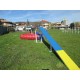 PASSERELLA AGILITY