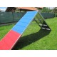 PALIZZATA AGILITY