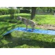 PASSERELLA MOBILITY DOG